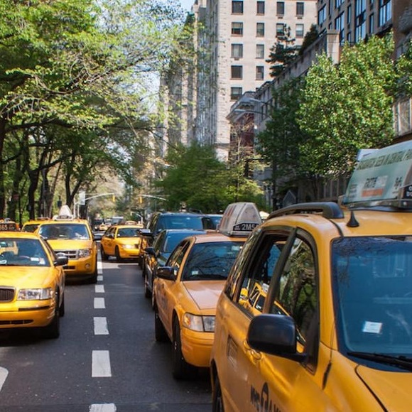 Meet your Posher, LouLou - Picture 2 of 3